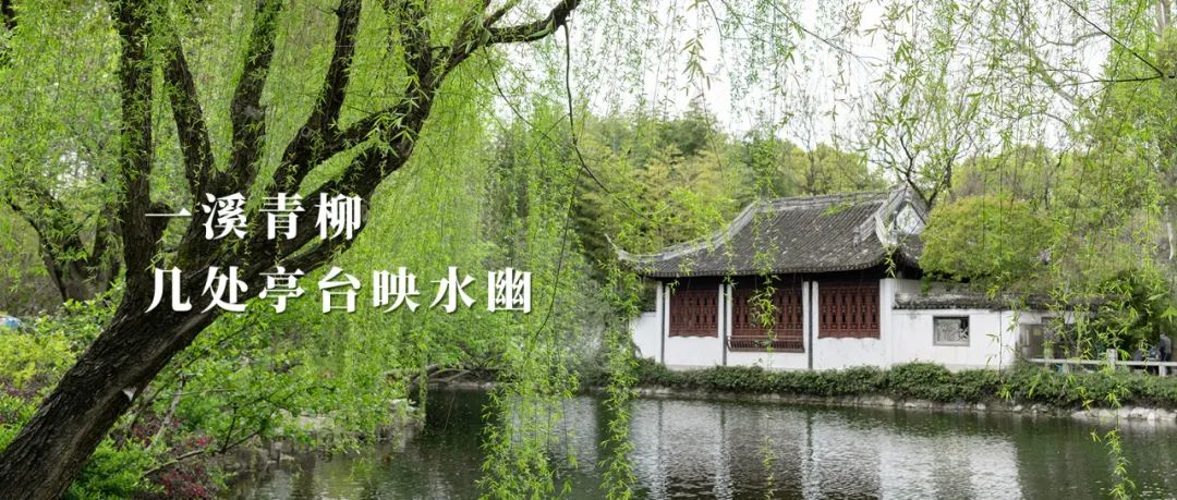 正文图片