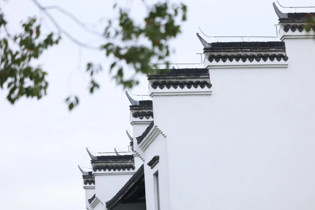 正文图片