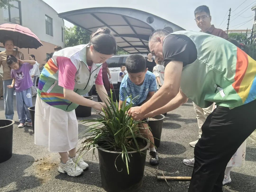 草药种植.jpg