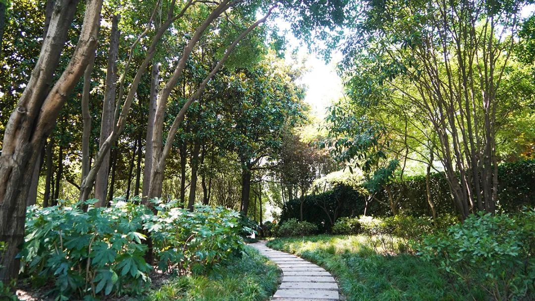 微信图片_20221021165616.jpg 微信图片_20221021165616.jpg