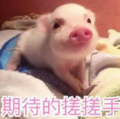 微信图片_20220926140000.png
