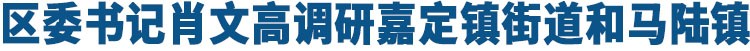 区委书记肖文高调研嘉定镇街道和马陆镇