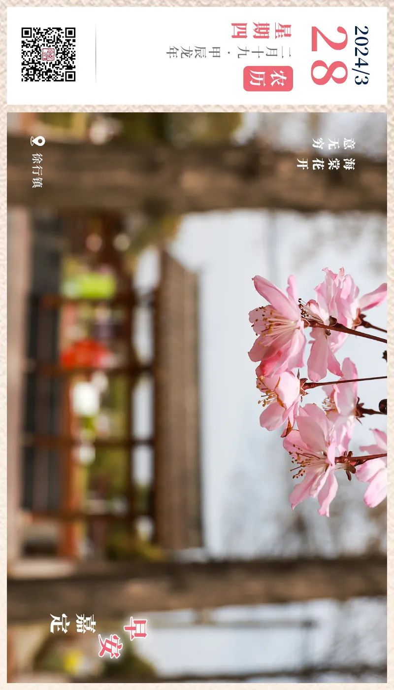 正文图片