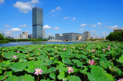 正文图片 正文图片