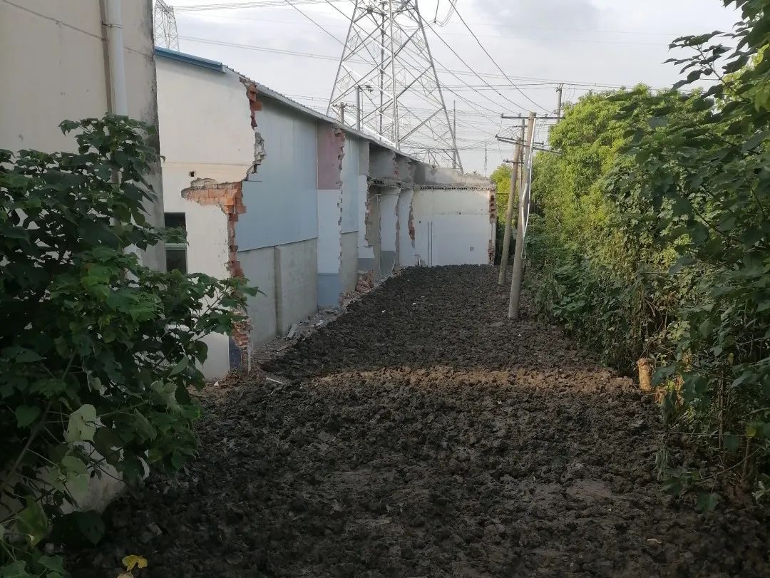 正文图片 正文图片