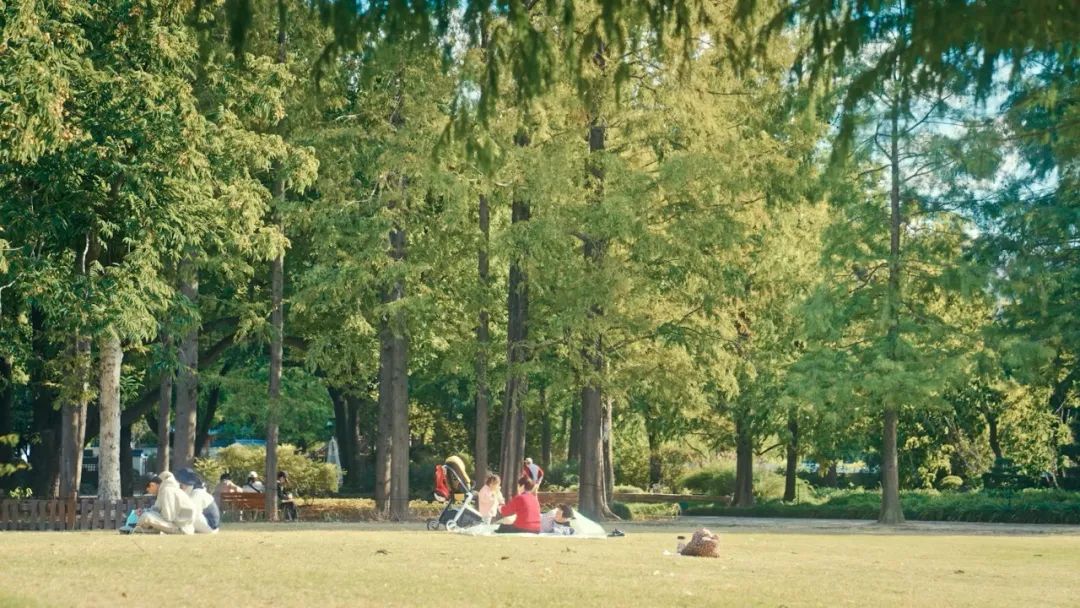 微信图片_20221107162156.jpg 微信图片_20221107162156.jpg