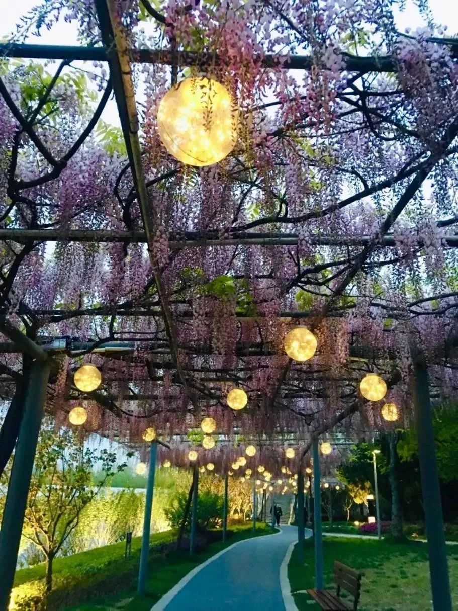 正文图片
