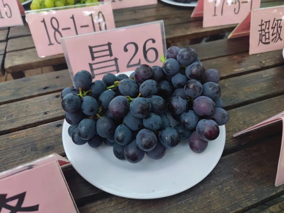 正文图片 正文图片