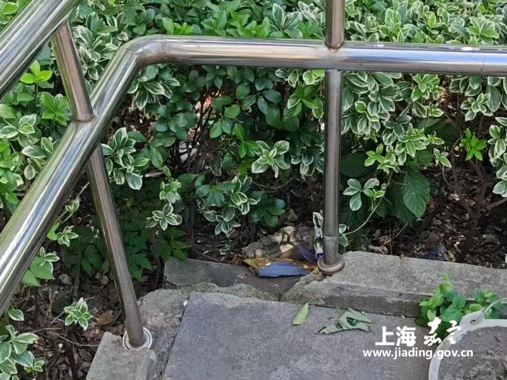 “微吐槽”撬动“大治理”，家门口的扶手稳了