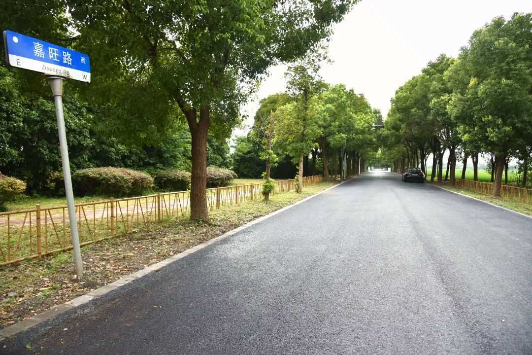 DSC_5825_副本.jpg DSC_5825_副本.jpg