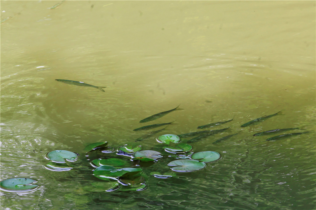 微信图片_20220723112913.jpg 微信图片_20220723112913.jpg