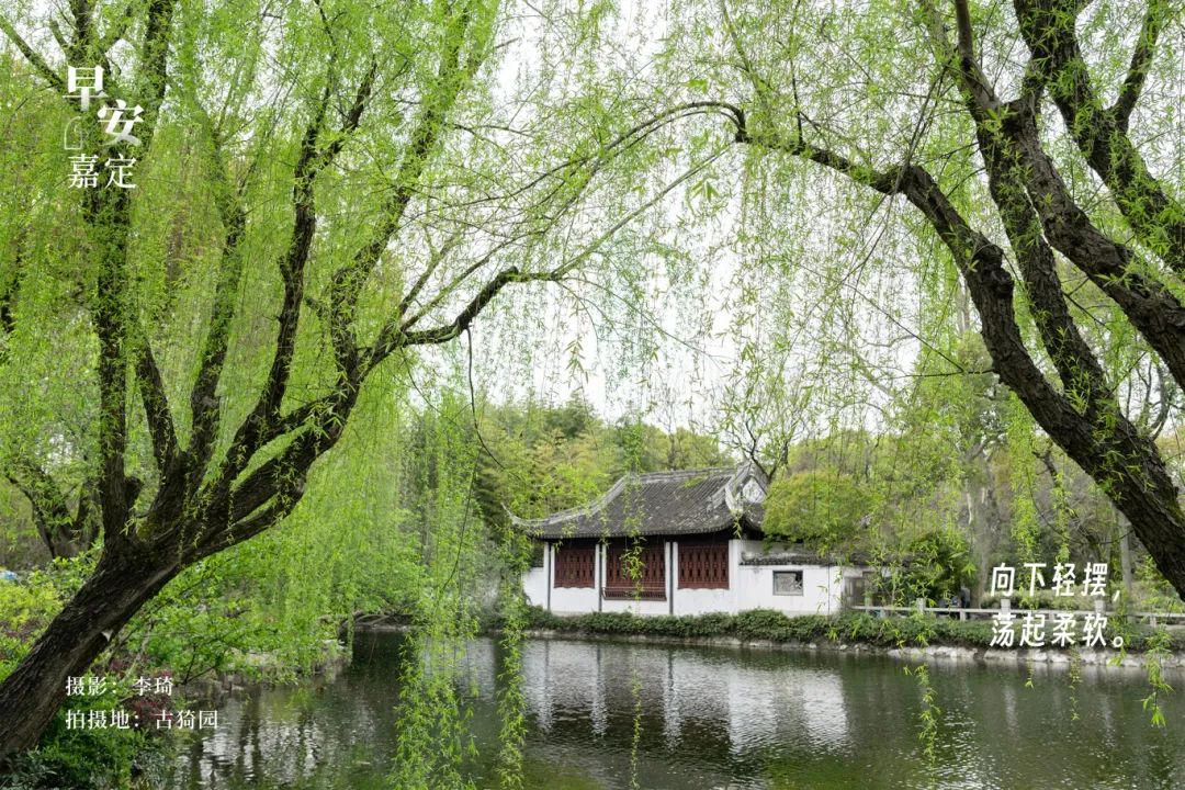正文图片