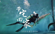 百姓话思想丨保护长江，盼它回家：这条鱼来自1.4亿年以前