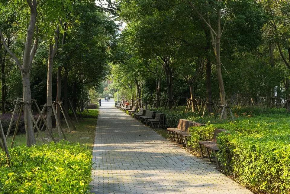 微信图片_20201026130518.jpg