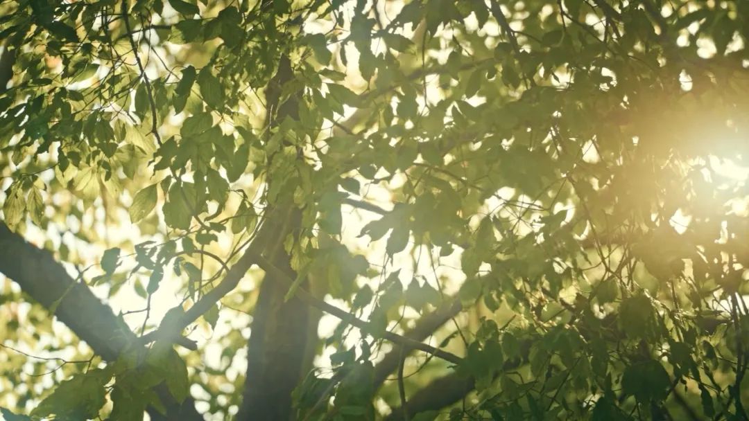 微信图片_20221107162153.jpg 微信图片_20221107162153.jpg