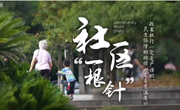 百姓话思想｜住在居委82天：要保护好每一个人