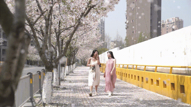 正文图片
