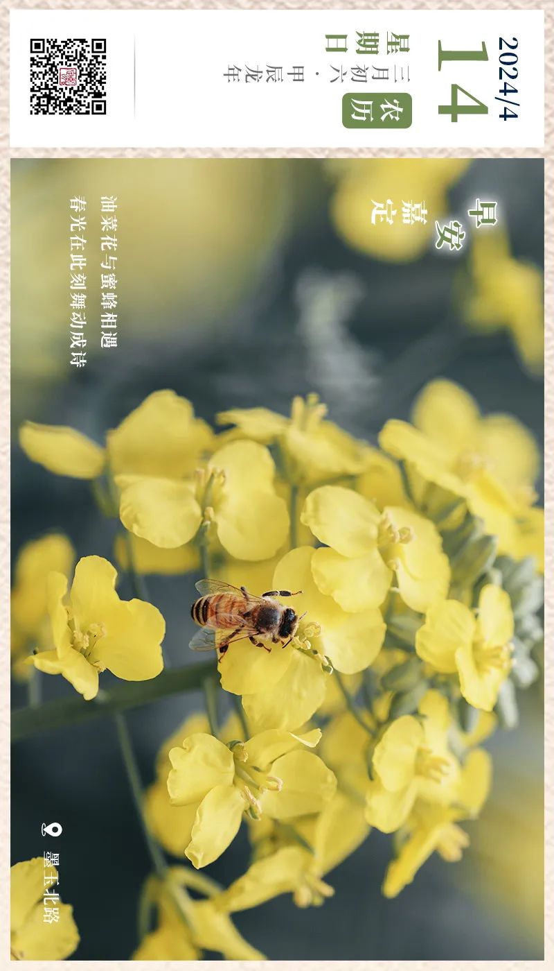 正文图片