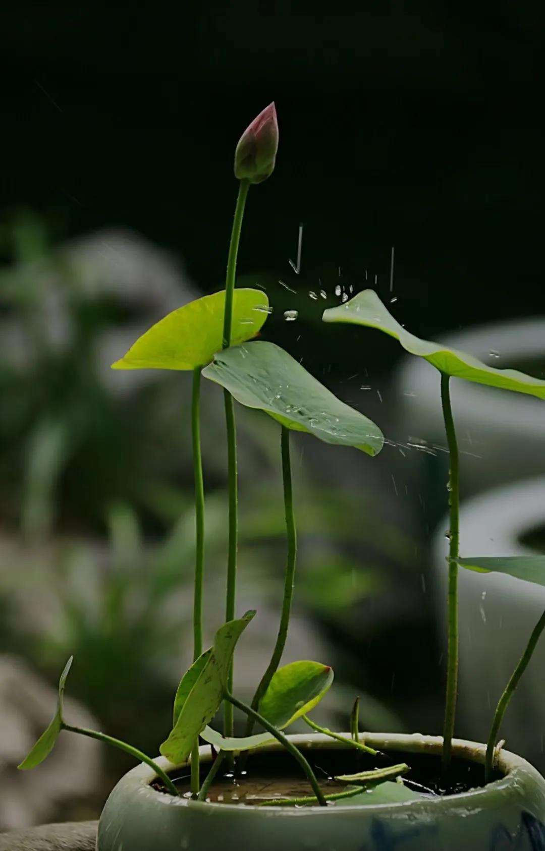 微信图片_20210707130200.jpg 微信图片_20210707130200.jpg