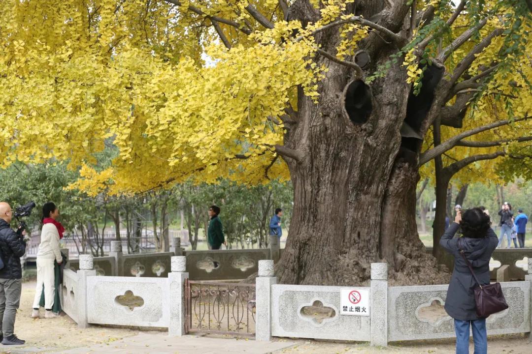 微信图片_20201207162332.jpg