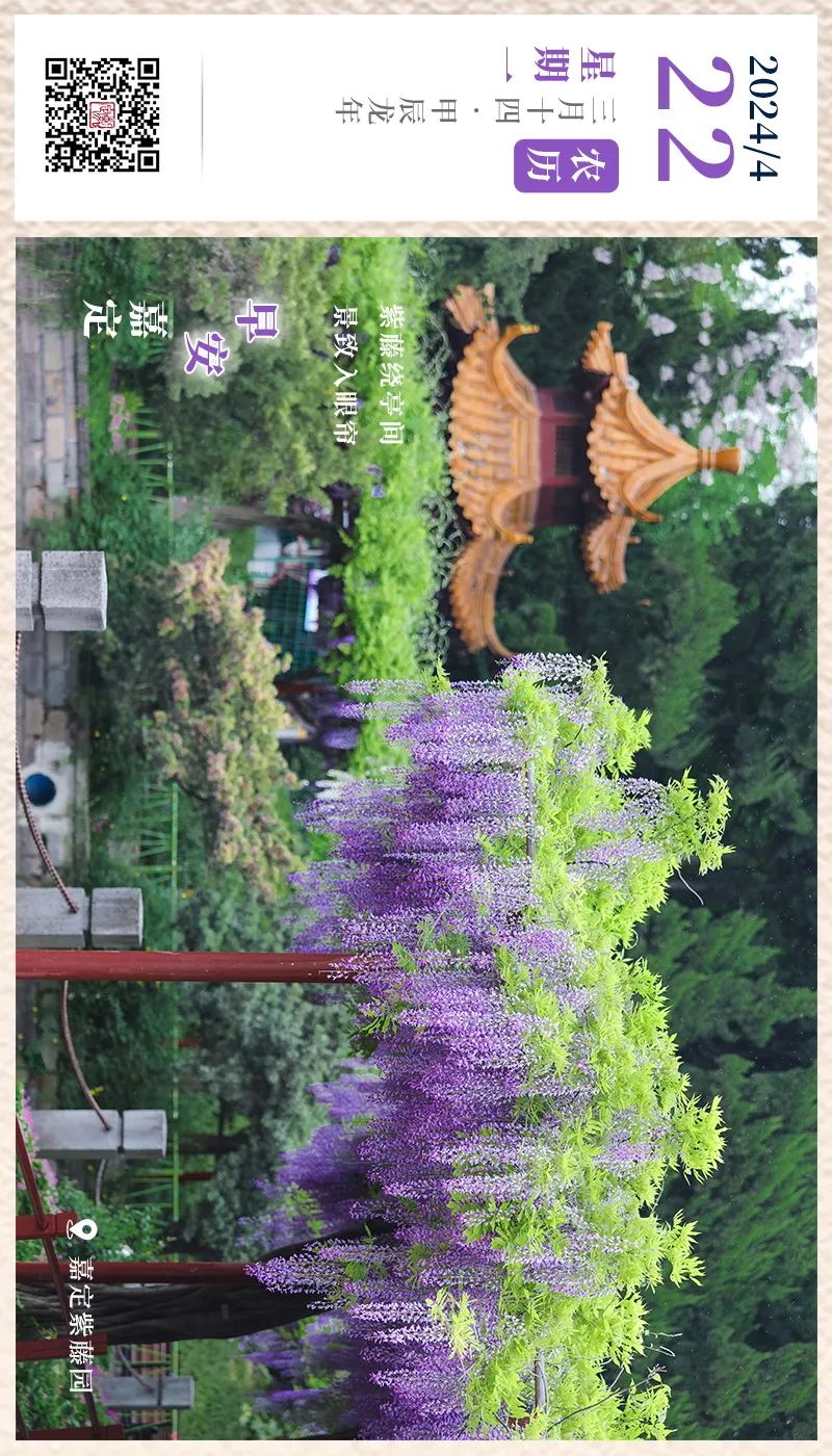 正文图片