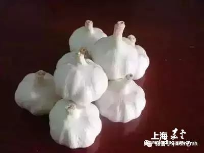 fa0c42722d92416399e6d85f9e0aceaa.jpg