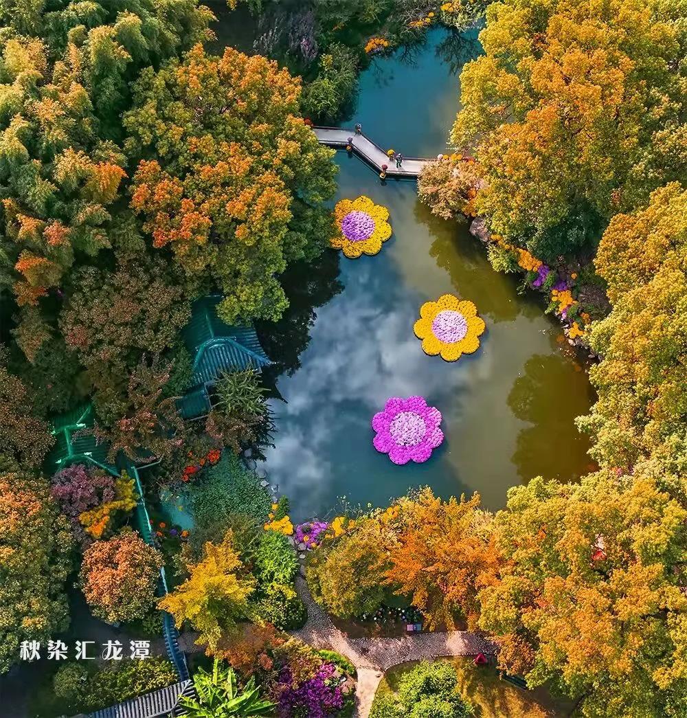 微信图片_20211026200044.jpg 微信图片_20211026200044.jpg