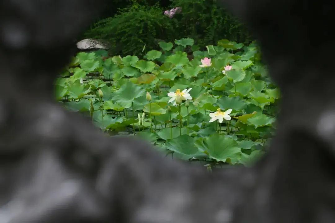 36.jpg