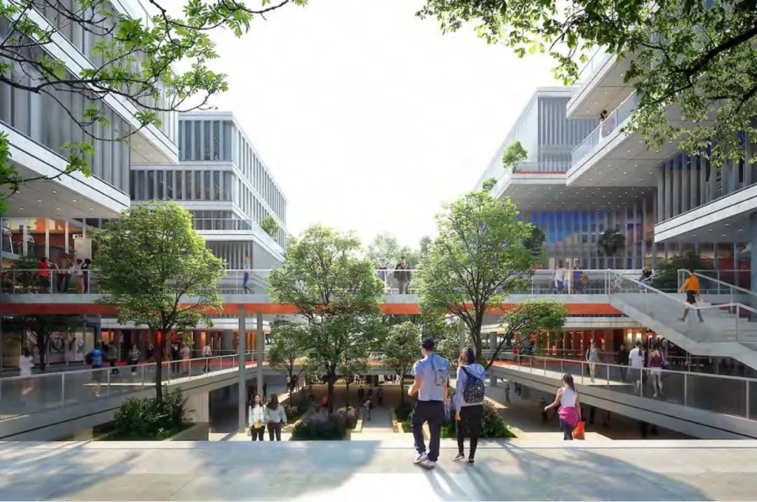 正文图片 正文图片