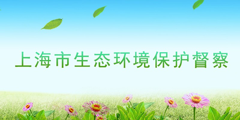 上海市生态环境保护督察