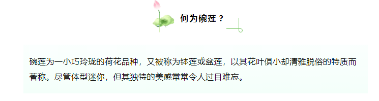 0e44f1e950584737bc6db5d1af5b61e7.png