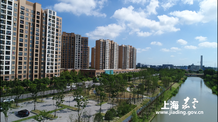 2213968d8714468da456fcc733887072.png 2213968d8714468da456fcc733887072.png