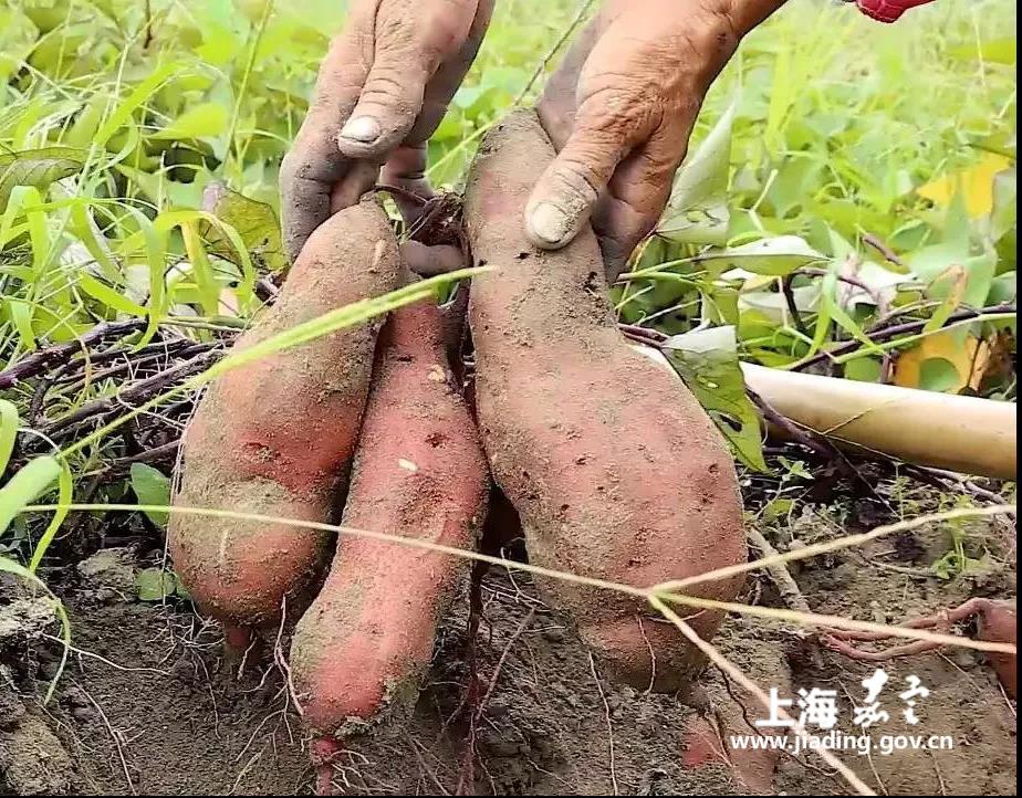 0226384ecd674561b0bb765f4edf2757.jpg 0226384ecd674561b0bb765f4edf2757.jpg