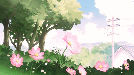 2.gif