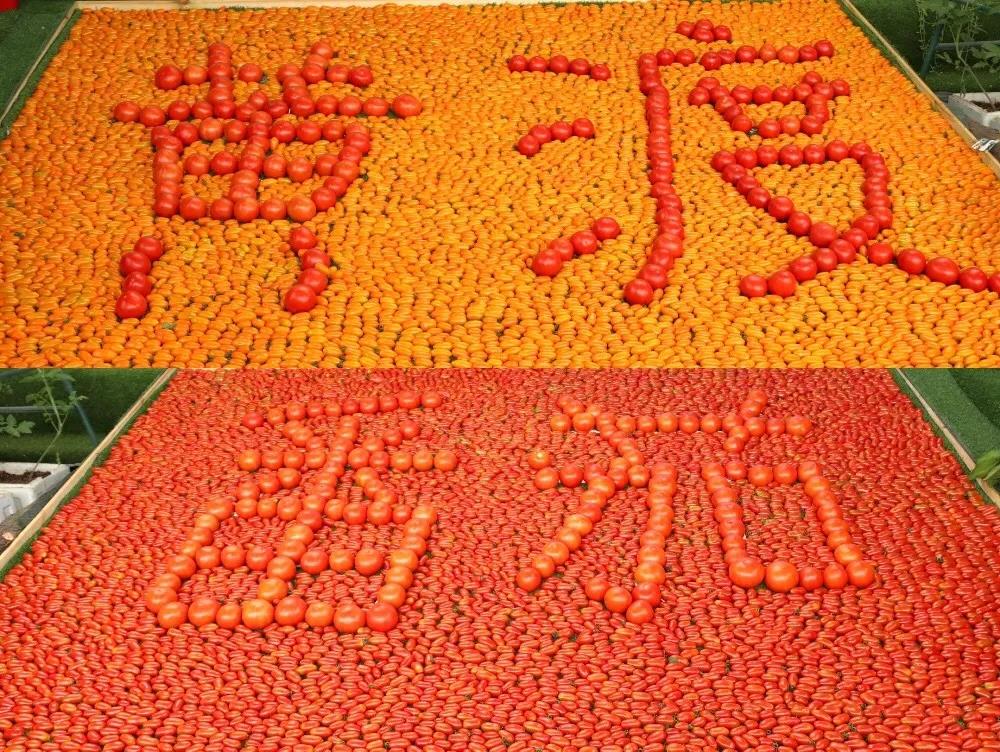 微信图片_20200520204026.jpg