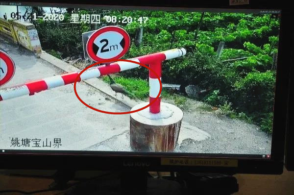 微信图片_20200522154431.jpg