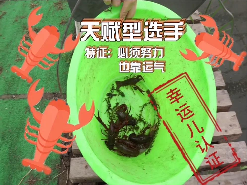 微信图片_20200506190506.jpg