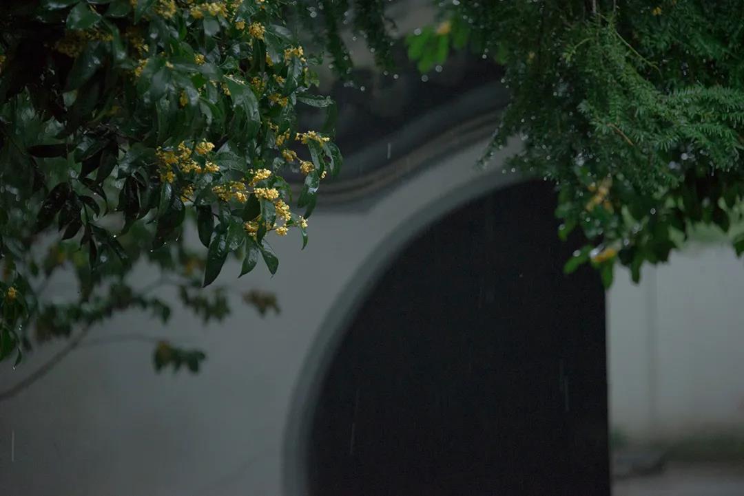 微信图片_20201008110702.jpg 微信图片_20201008110702.jpg