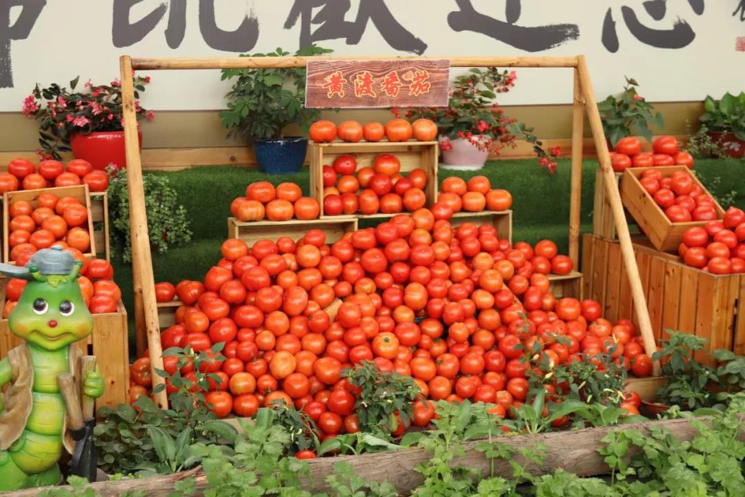 微信图片_20200520204041.jpg