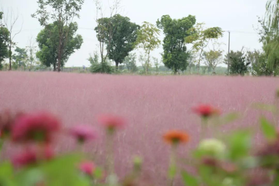 微信图片_20200923193931.jpg