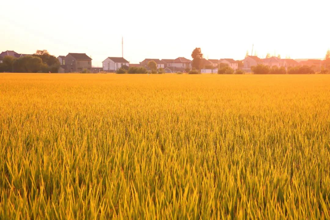 微信图片_20201008110658.jpg 微信图片_20201008110658.jpg