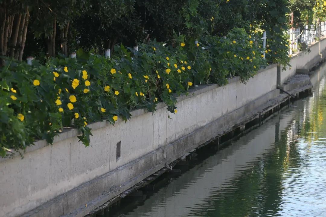 微信图片_20200817133634.jpg