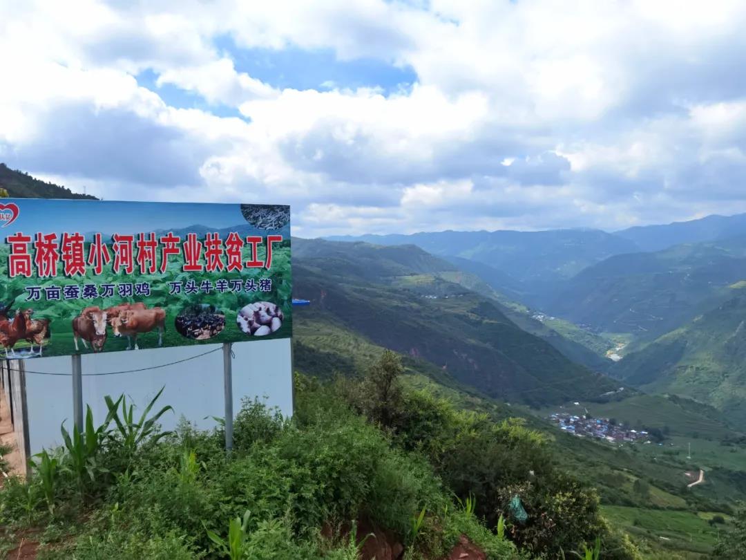 微信图片_20200905220819.jpg