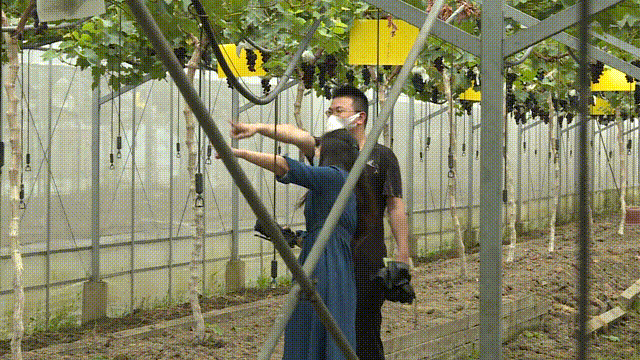 微信图片_20200621162911.gif