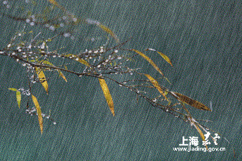 a78ded674524430bb13d9019d970f85a.gif