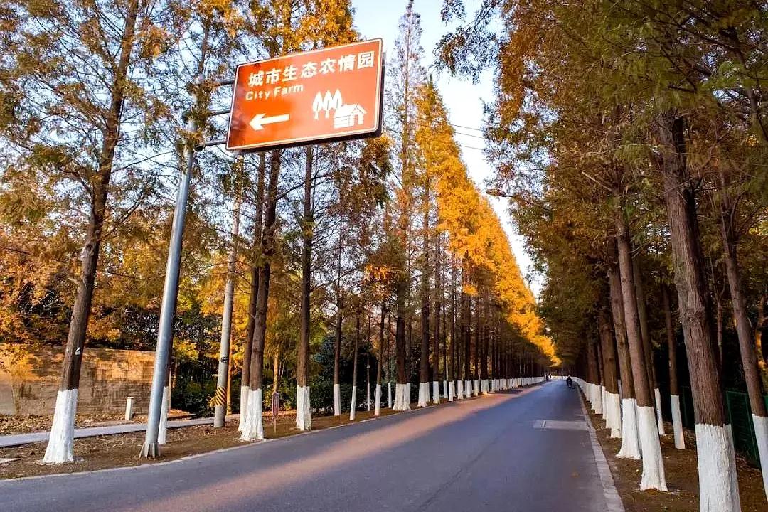 微信图片_20200916131547.jpg