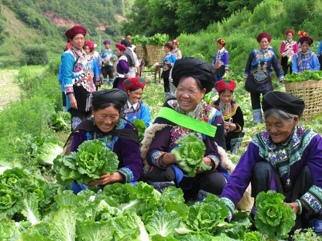 微信图片_20200905220857.jpg