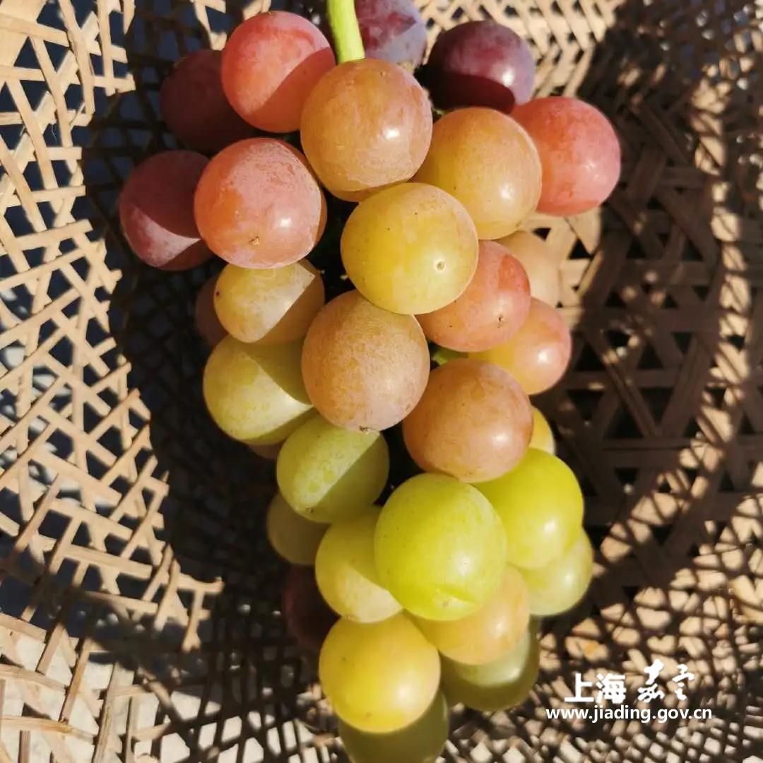 d2ef21581ad34196832d41d881b4a507.jpg d2ef21581ad34196832d41d881b4a507.jpg