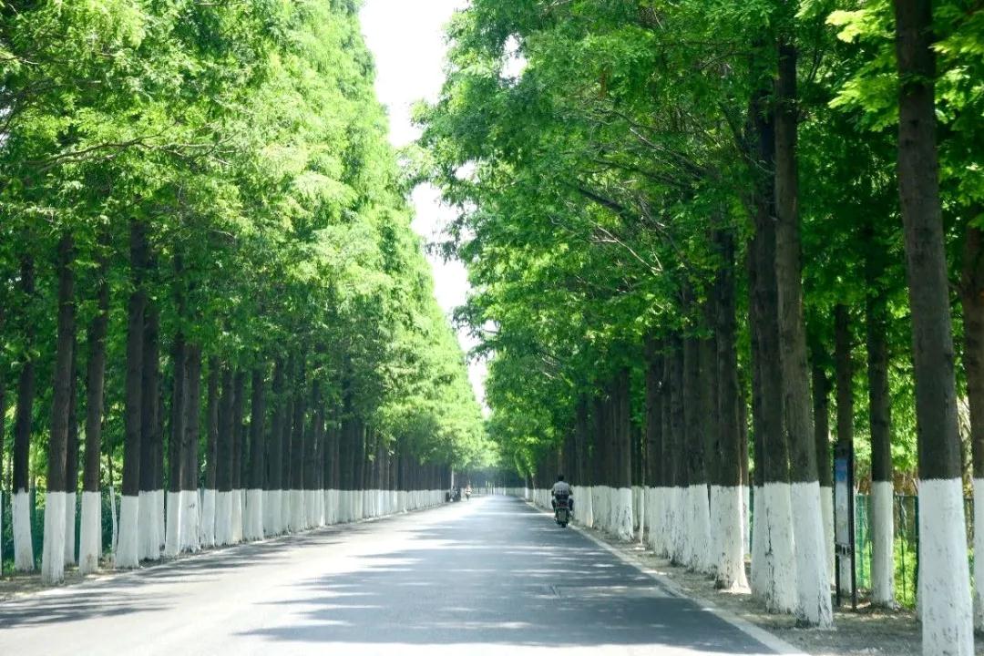 微信图片_20200916131550.jpg