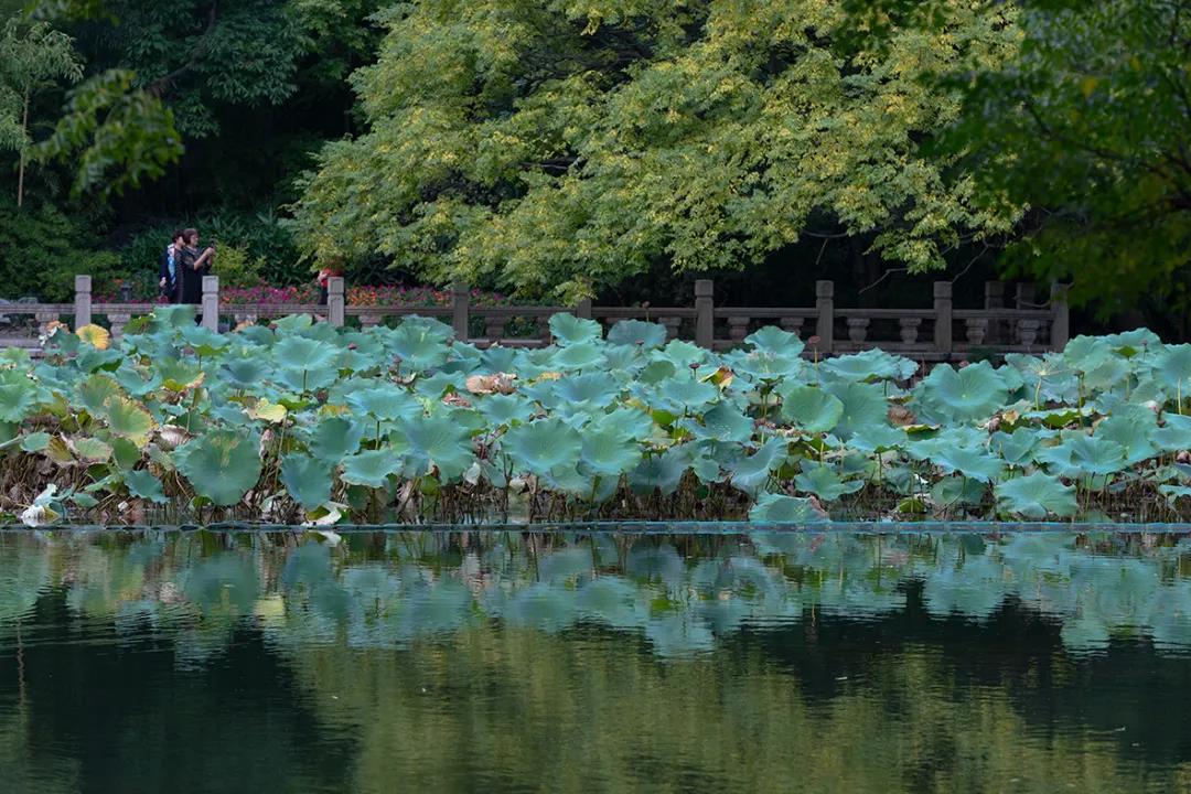 微信图片_20201008110654.jpg 微信图片_20201008110654.jpg